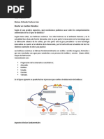 Caso Practico - Moises