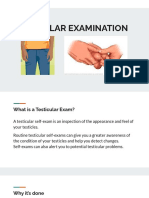 Testicular Examination