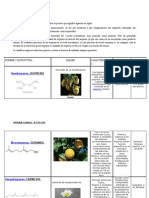 Clasificacion de Terpenos Puky