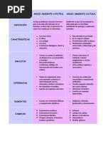 Cuadro Comparativo Del Medio Ambiente Natural y Cultural