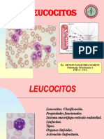 Tema 4 LEUCOCITOS