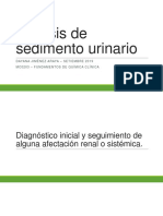 T12 - Análisis de Sedimento Urinario