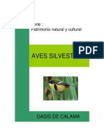 Aves de Calama