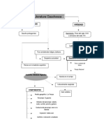 Mapa Conceptual - Literatura Gauchesca