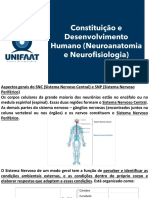 Aspectos Gerais Do SNC (Sistema Nervoso Central) e SNP (Sistema Nervoso Periférico)