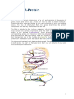 DNA, RNA and Protein