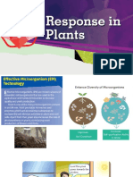 Chapter 5 Response in Plant