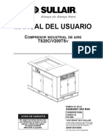 TS20C V200TSV Usuario Español