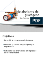 Metabolismo Del Glucógeno