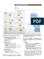 Mtap I - Molbio - Notes