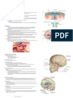 Anatomía de Las Meninges