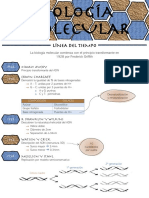 Línea Del Tiempo de La Biología Molecular