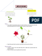 Flower Notes Grade 5