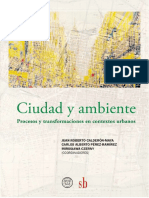 Ciudad y Ambiente