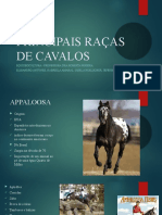 Principais Raças de Cavalos