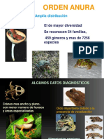 ANURA Actualizada2