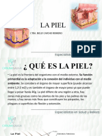 La Piel