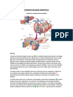 Fisiopatología Hepática