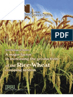 International Rice Research Notes Vol.30 No.1