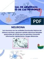 Potencial de Membrana-1