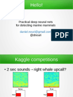 Dclde2013 Neural Nets