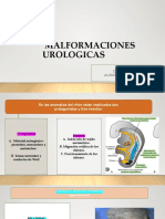 UROLOGIA Shadia y Shely