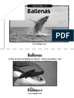 Las Ballenas