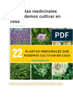 22 Plantas Medicinales Que Podemos Cultivar en Casa