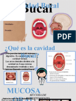 Mucosa Masticatoria