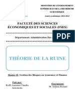 Examen Théorie de La Ruine