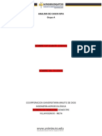 ANALISIS DE CASOS SIPA Final