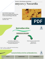 Actinomyces y Nocardia