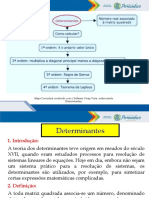 Determinantes PROF.