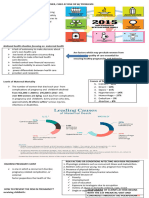 Lec Framework Care of Mother