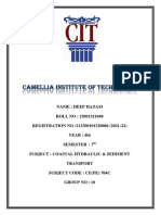 Coastal Hydraulic & Sediment Transport