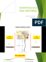 Neurofisiologia Ii