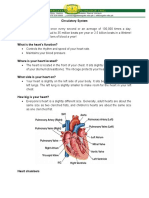 Circulatory System