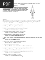 1 - Anatomical Terminology