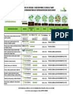 Programa de Uso Tomate Agrotecnnova 2023