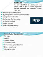 Classification of Bacteria