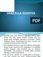 Varicella Zooster