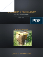 Apicultura y Piscicultura - Enjambrazon