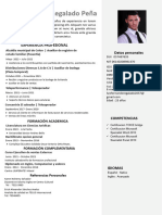 83 Curriculum Vitae Laboral