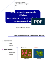 Clase 13 Enterobacterias y Bacilos Gram Negativo No Fermentadores BIOL150