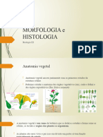 Histologia Vegetal