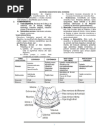 Compendio de BIOLOGIA 4TO SECUNDARIA SISTEMA DIGESTIVO HASTA EL FINAL