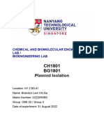 C5 Plasmid Isolation Formal Report