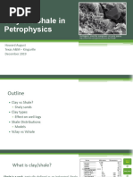  Clay vs. Shale in Petrophysics