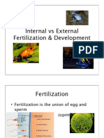 Internal vs. External Development - ppt-7