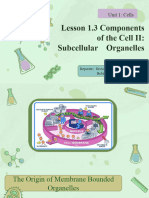 1.3. Components of The Cell IISubcellular Organelles 070141